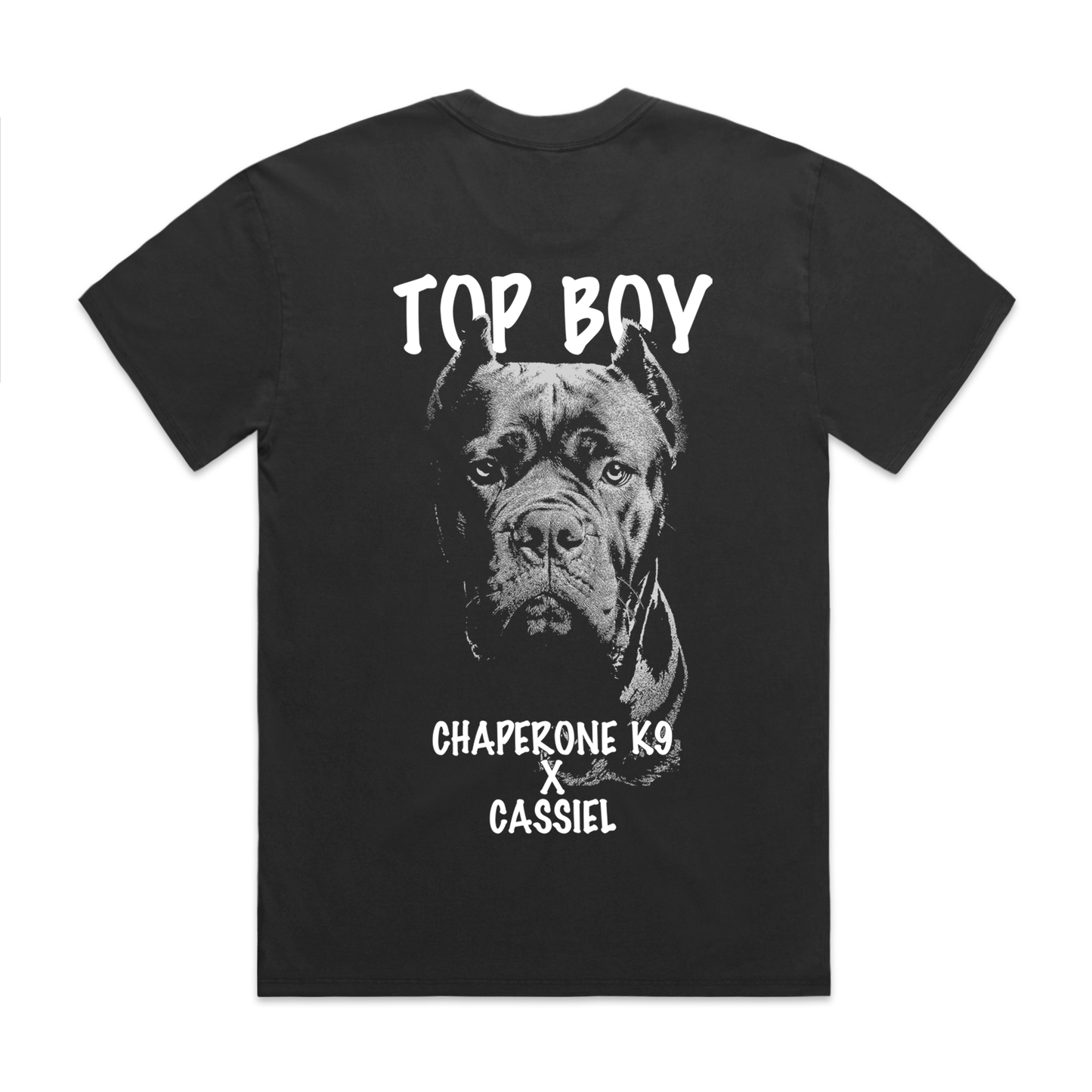 Cassiel X Chaperone K9 Top Boy Faded Black Tee