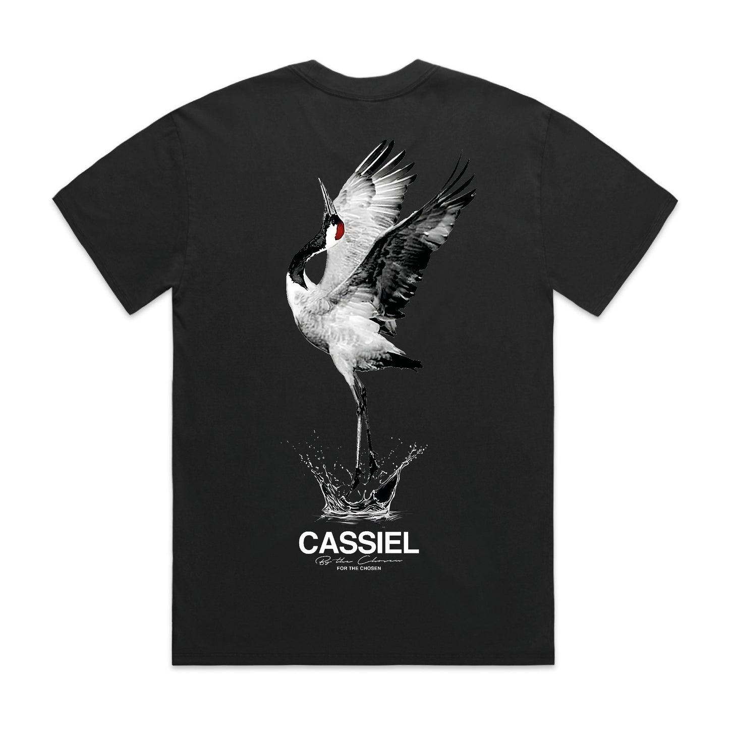 Cassiel Crane Back Print Faded Black Tee