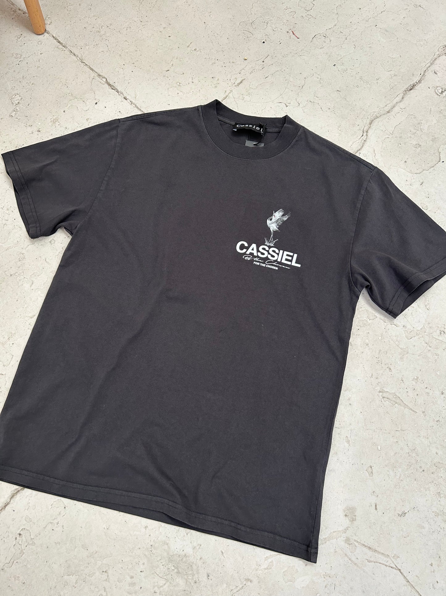 Cassiel Crane Back Print Faded Black Tee