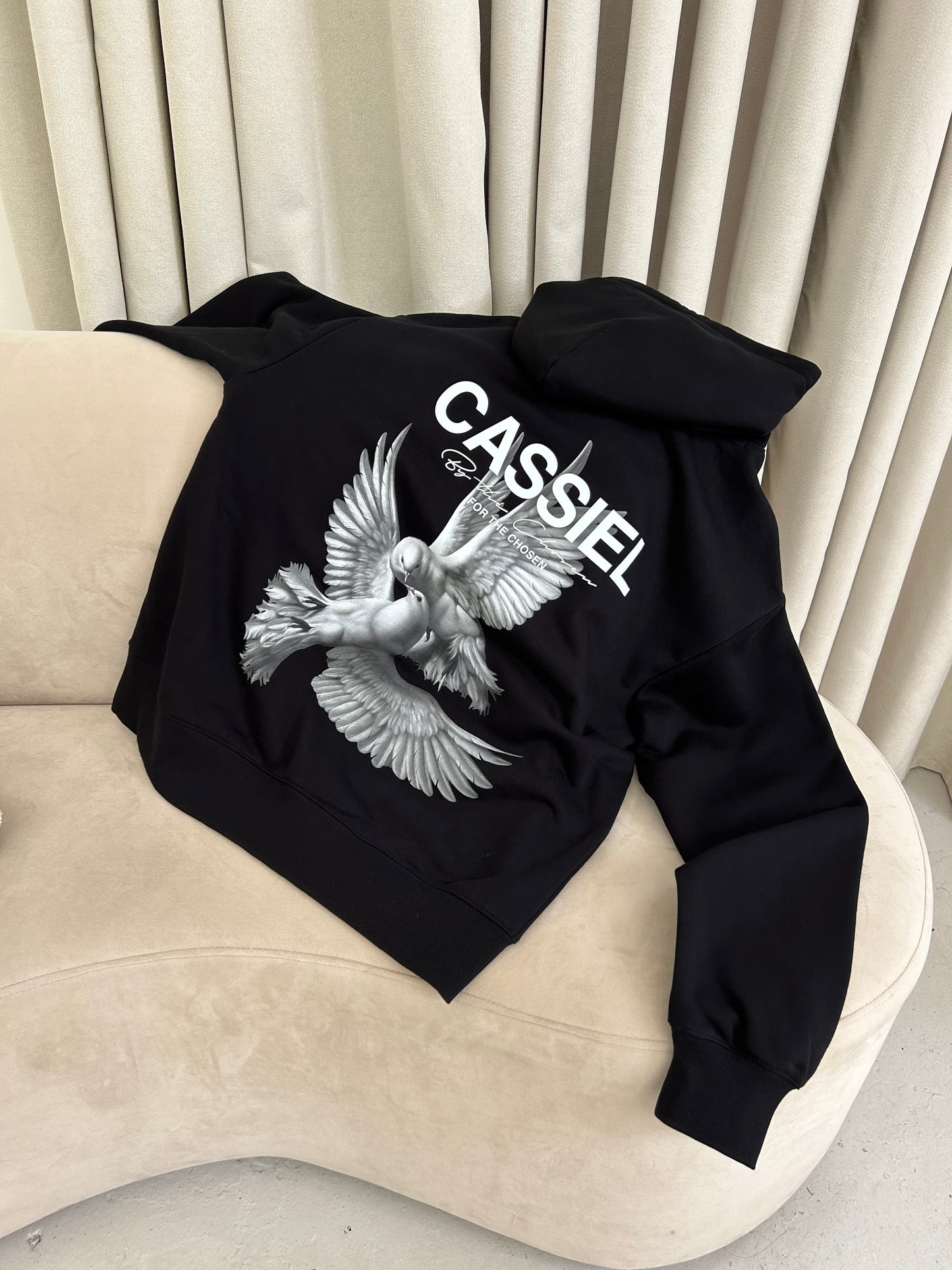 Cassiel Doves Black Hoodie Sweatshirt