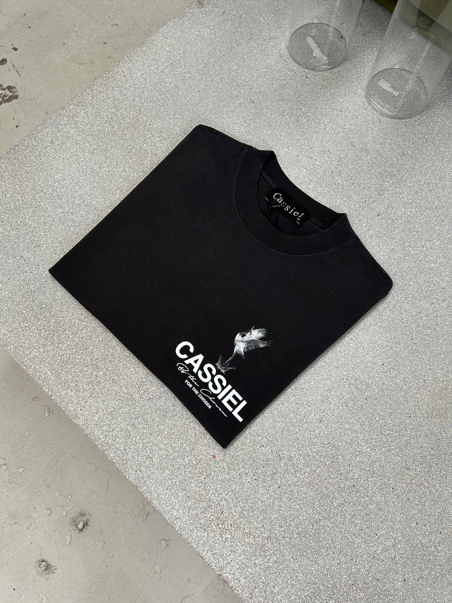 Cassiel Crane Back Print Faded Black Tee