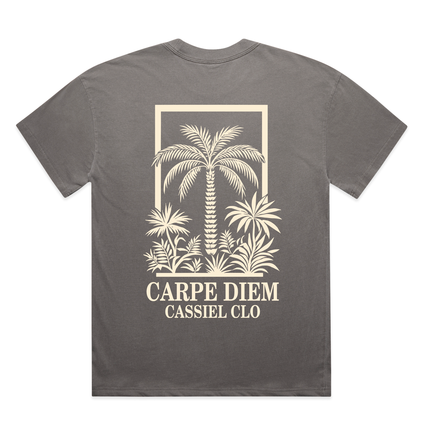 Cassiel Carpe Diem Faded Grey Tee
