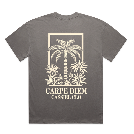 Cassiel Carpe Diem Faded Grey Tee