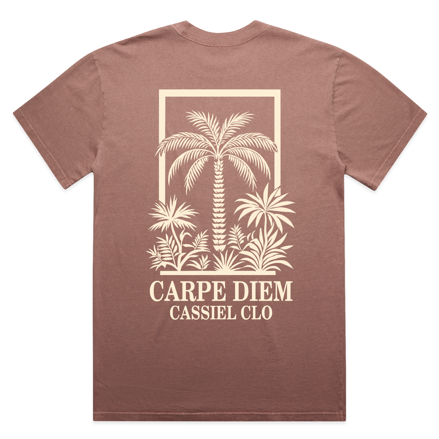Cassiel Carpe Diem Faded Pink Tee